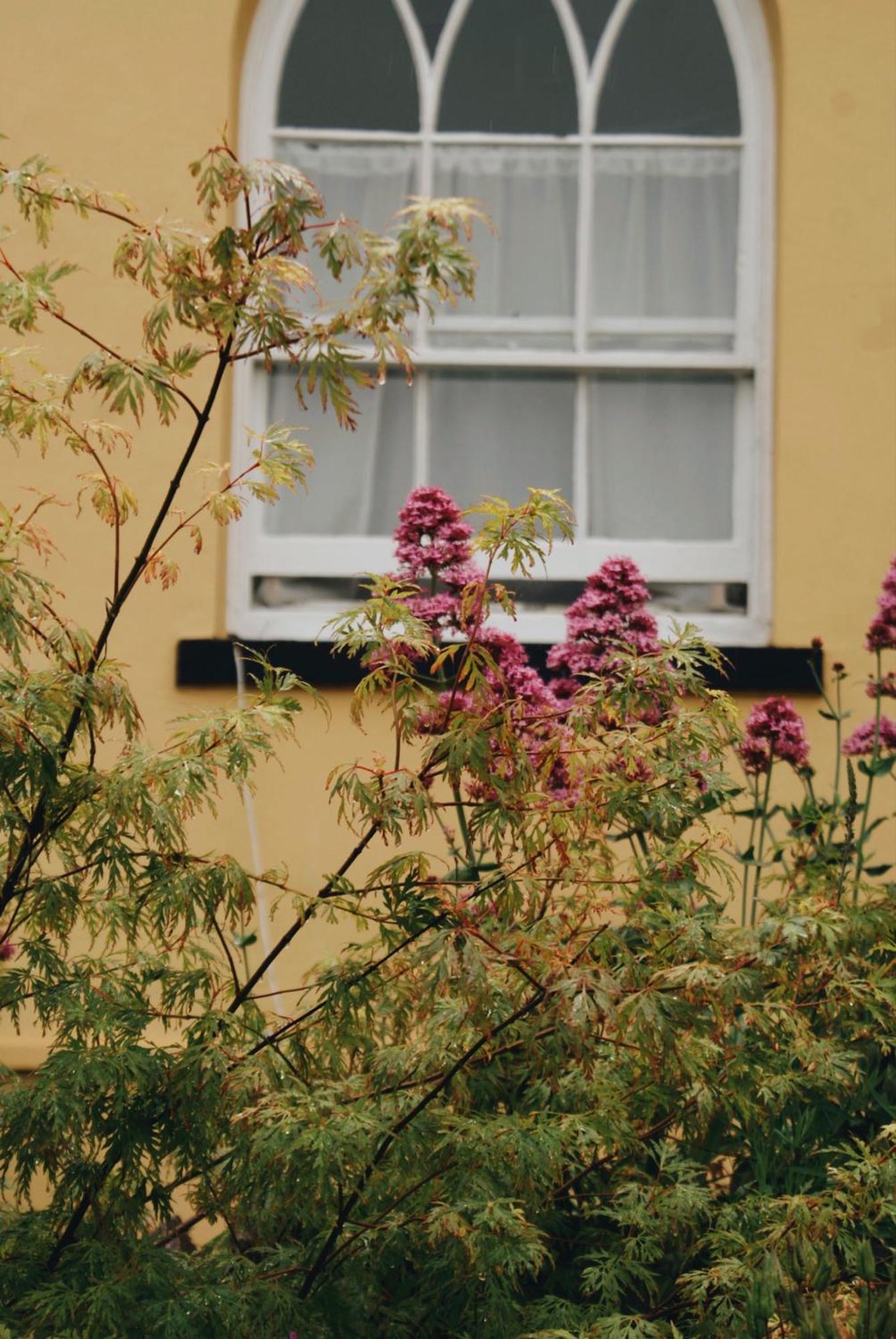 Ranscombe House Bed & Breakfast Brixham Exterior photo